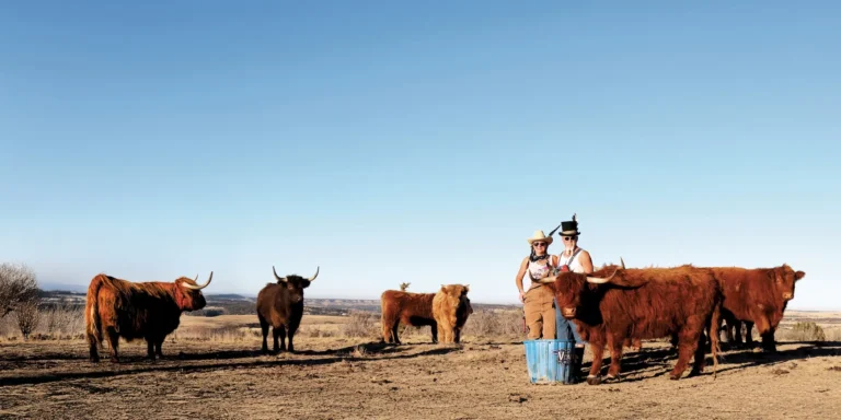 Colorado Grass-fed Beef